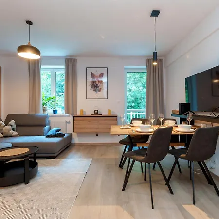 Moderni Horsky Apartman Krusne Hory 公寓